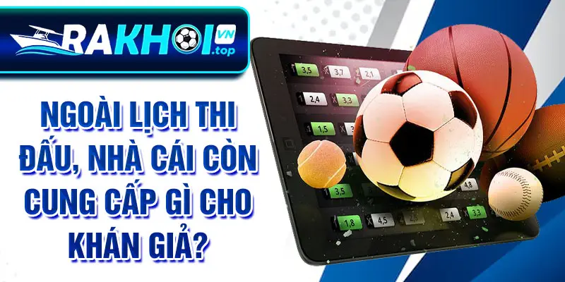 Ngoài lịch thi đấu, nhà cái còn cung cấp gì cho khán giả?